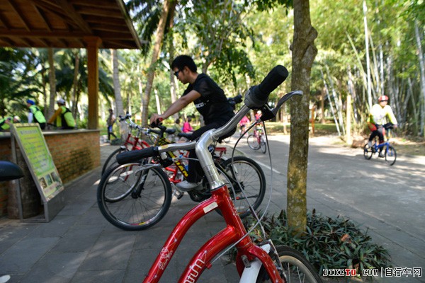 ͣ������