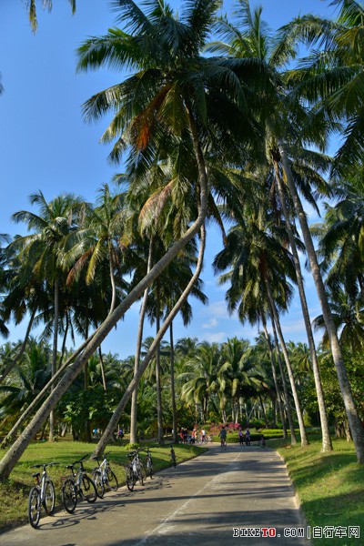 ������Ҭ�ּ�