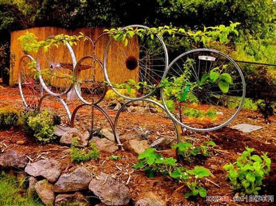 �Ͼ����г�,��������