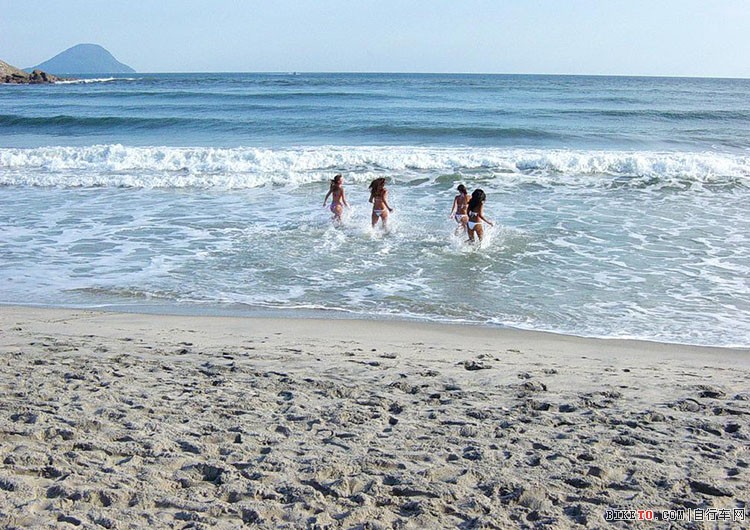 在蔚蓝色的海水中嬉戏畅游 在蔚蓝色的海水中嬉戏畅游