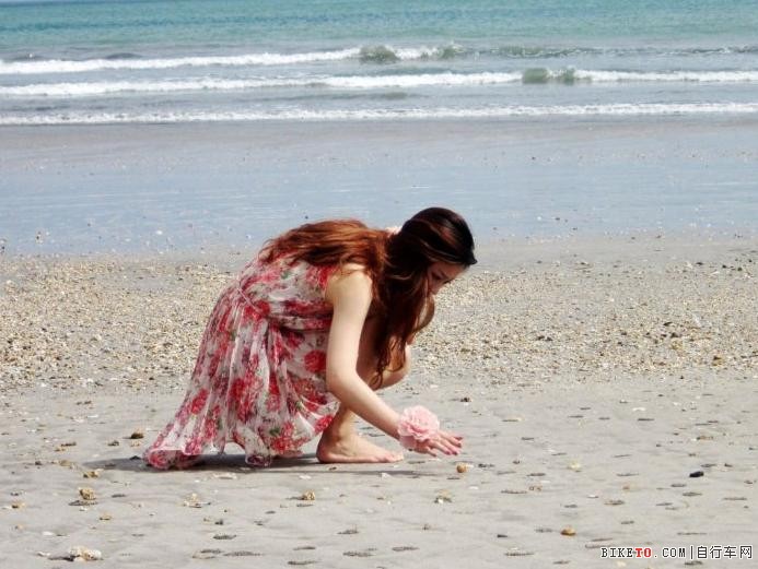 漫步沙滩拾取美丽的贝壳 漫步沙滩拾取美丽的贝壳