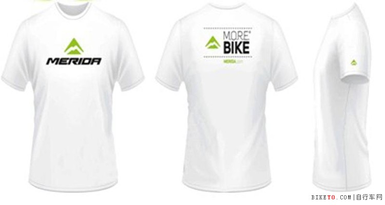 ������8�����ڱ����� �ﳵ������