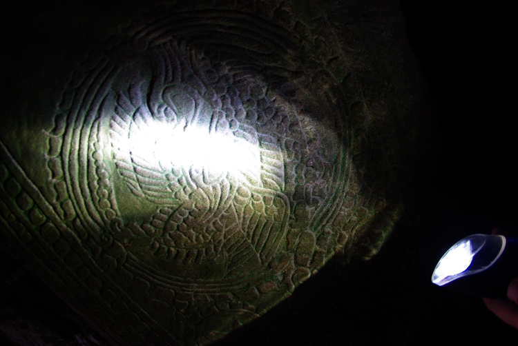 ROXIM���������Ƿ�·