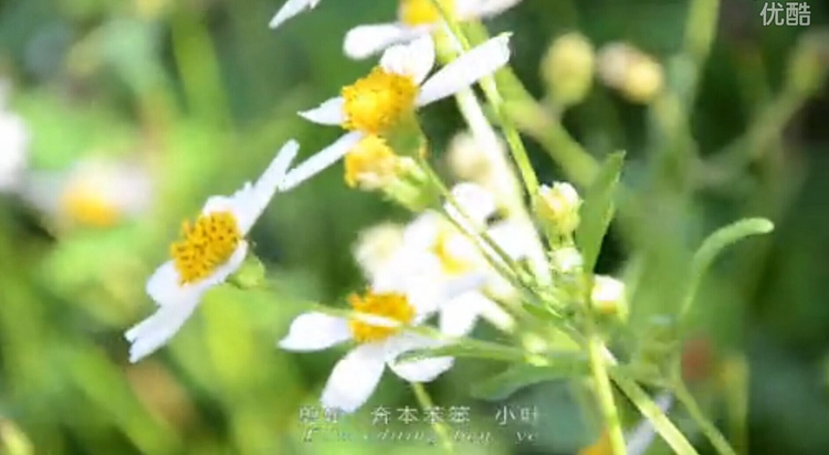 ���ǵ�����