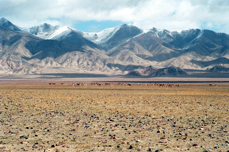 阿尔金山 阿尔金山