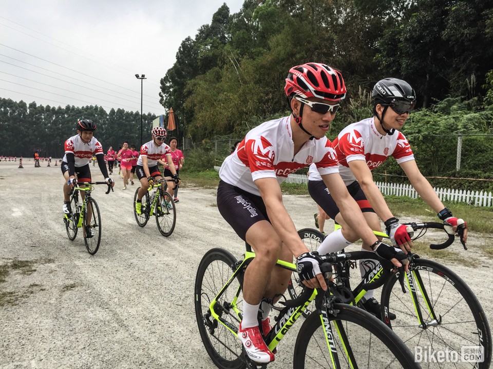 2015�ۺ������