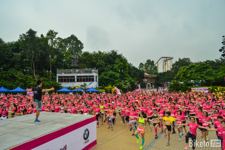 2015�ۺ������