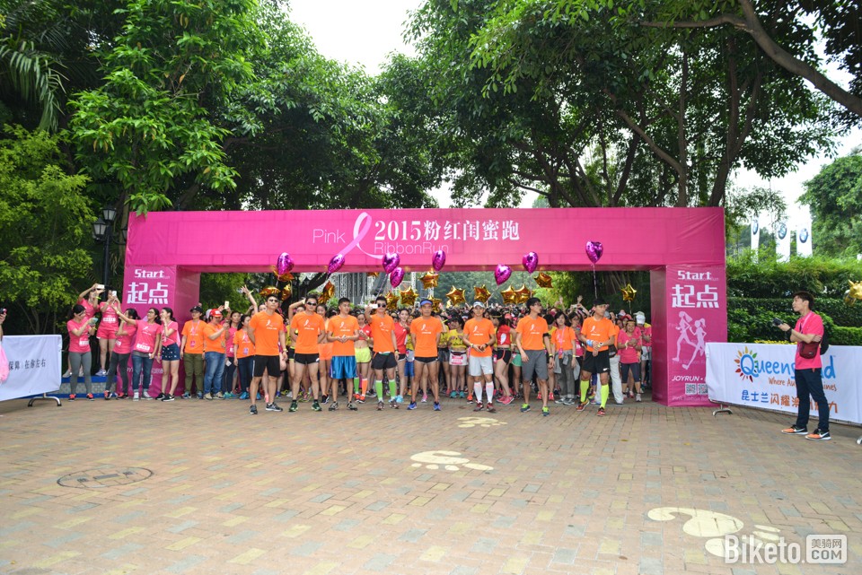 2015�ۺ������