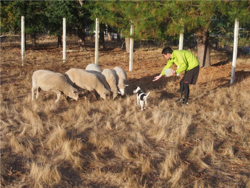 ���ݵ����к�76��������4000�๫��