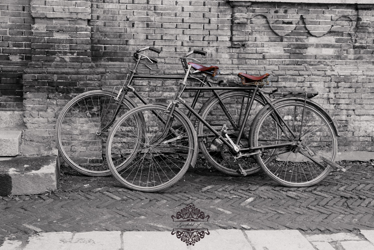 自行车老了会喜欢什么样的归宿——永久倔铁驴 自行车老了会喜欢什么样的归宿——永久倔铁驴