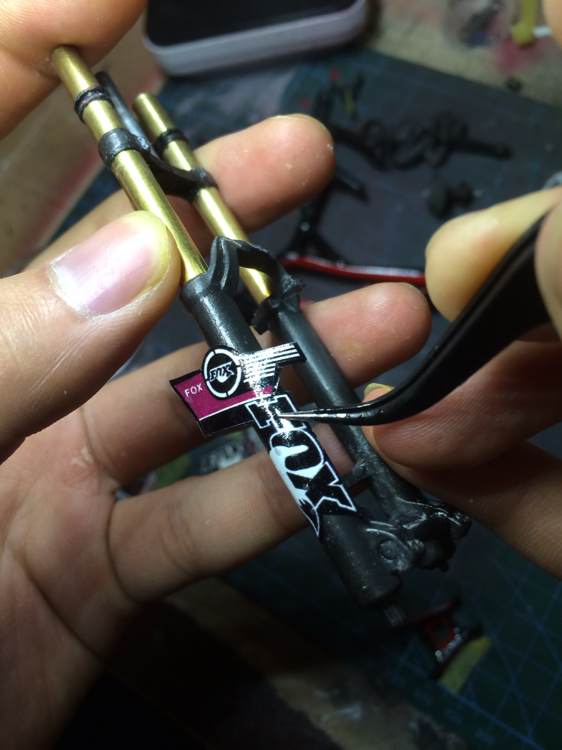 ��foxǰ����ˮ��