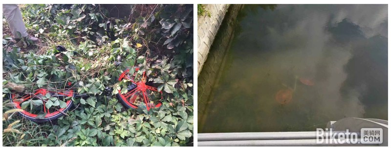 摩拜单车,广州,骑行体验,城市自行车,公共单车,网约单车,共享单车 摩拜单车,广州,骑行体验,城市自行车,公共单车,网约单车,共享单车