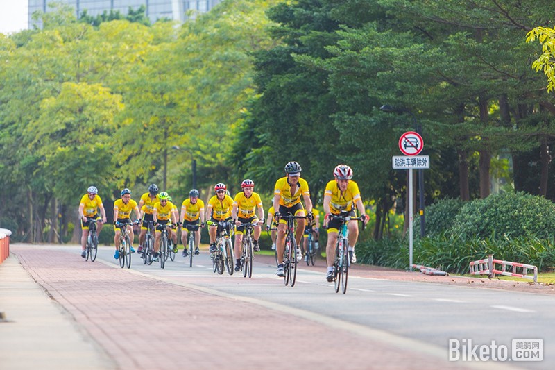 ��ֻΪѰ�ҹ�����2016���Ƴ�����лԲ������