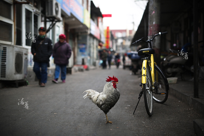 ������������