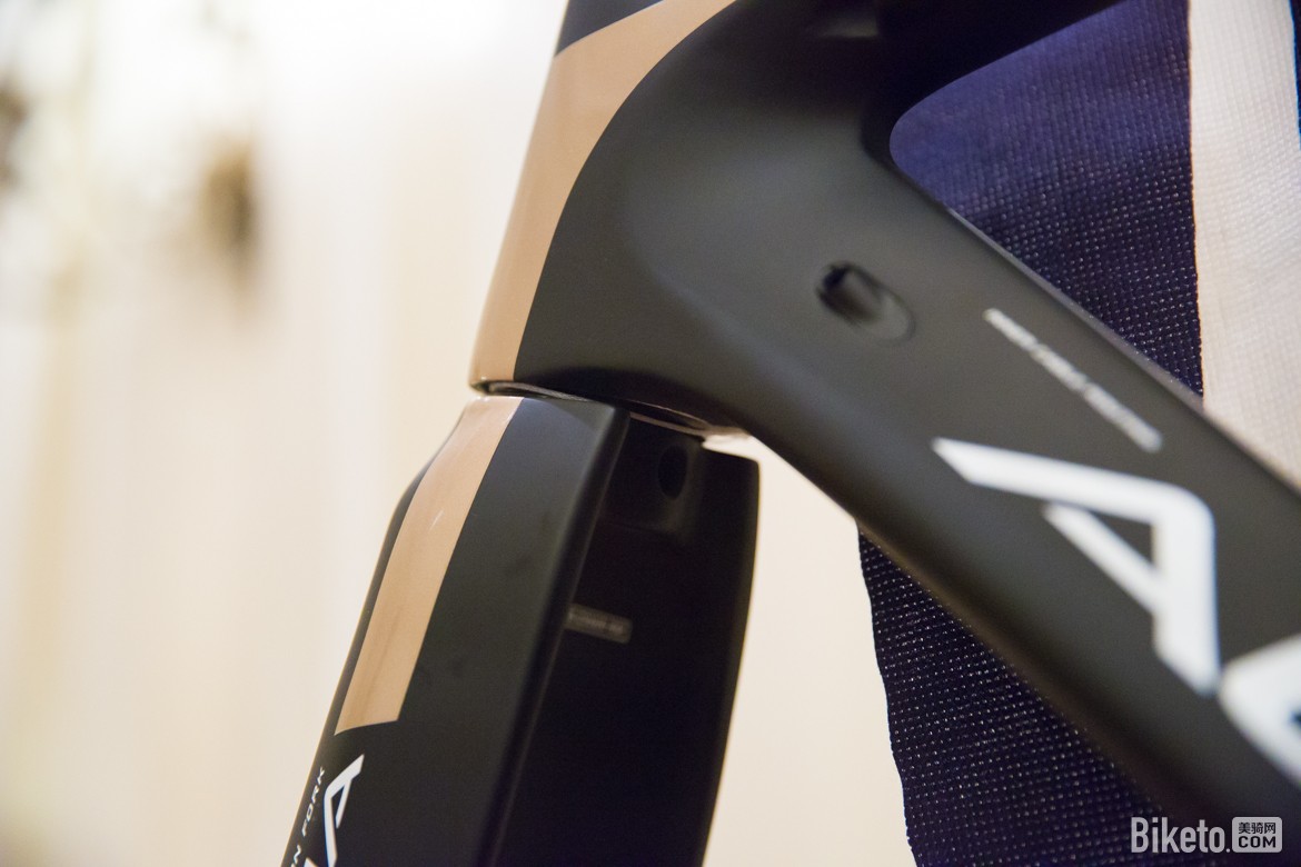 0X0A8864.jpg 0X0A8864.jpg