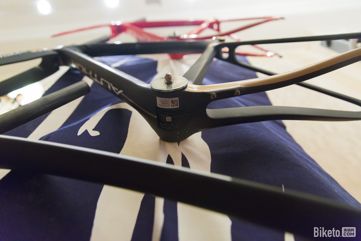 0X0A8870.jpg 0X0A8870.jpg