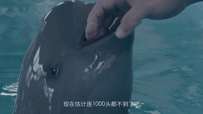 震惊!这只美骑兔竟然对我投怀送抱 震惊!这只美骑兔竟然对我投怀送抱