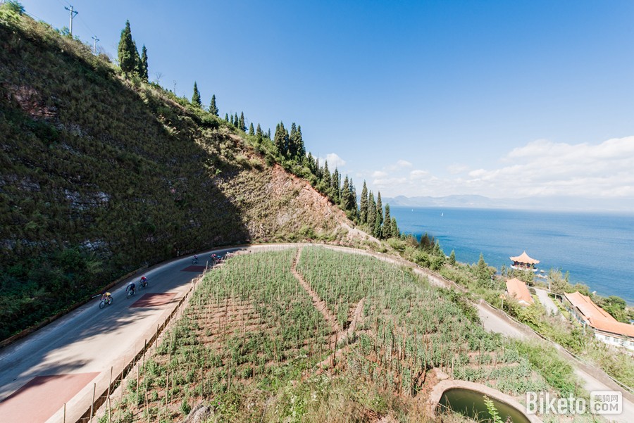 云南格兰芬多 云南格兰芬多