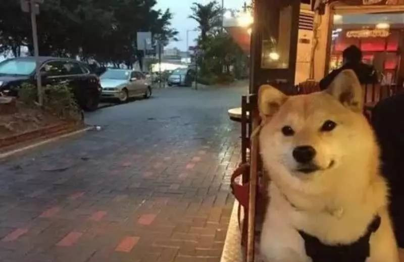 4ffaefa0d7194287a3904389ca583598_th.jpg 4ffaefa0d7194287a3904389ca583598_th.jpg