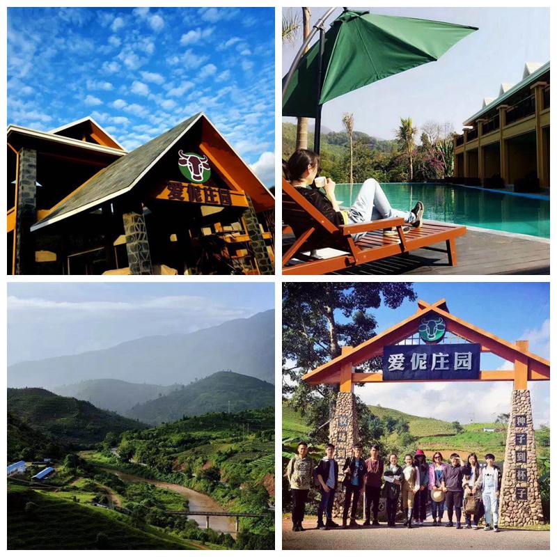 NeoI2mage_副本.jpg NeoI2mage_副本.jpg