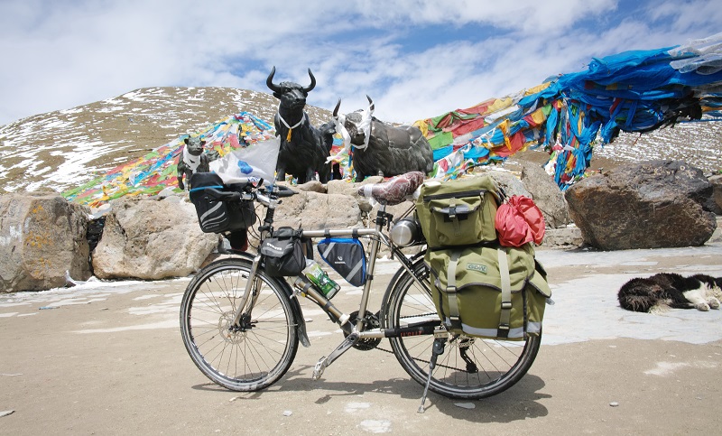 DP1Q8201.jpg DP1Q8201.jpg