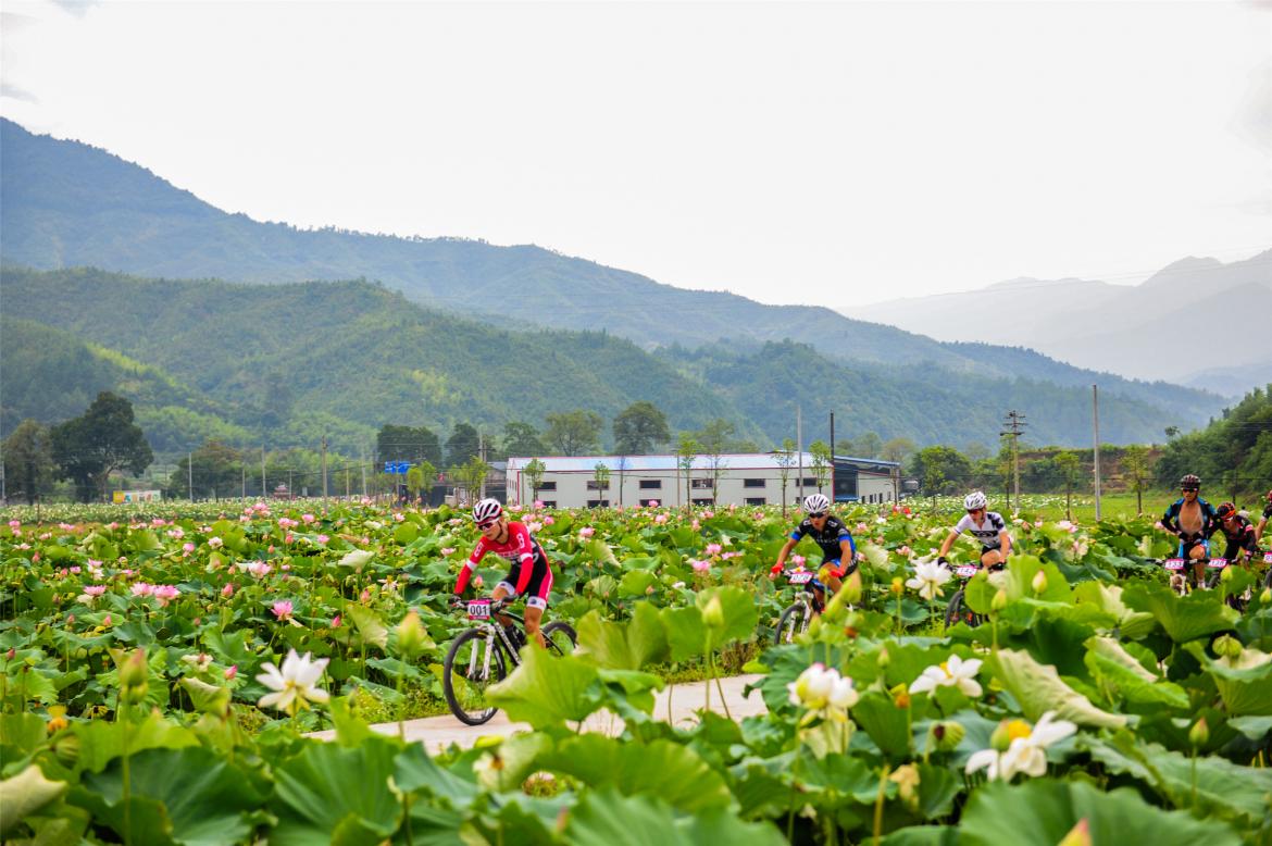 Ϊ�ɶ�������������