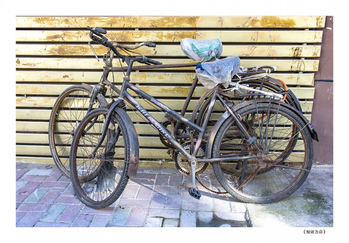 忧伤的单车