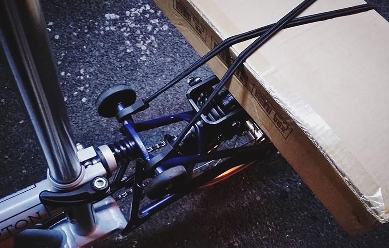 IMG_5580.JPG IMG_5580.JPG