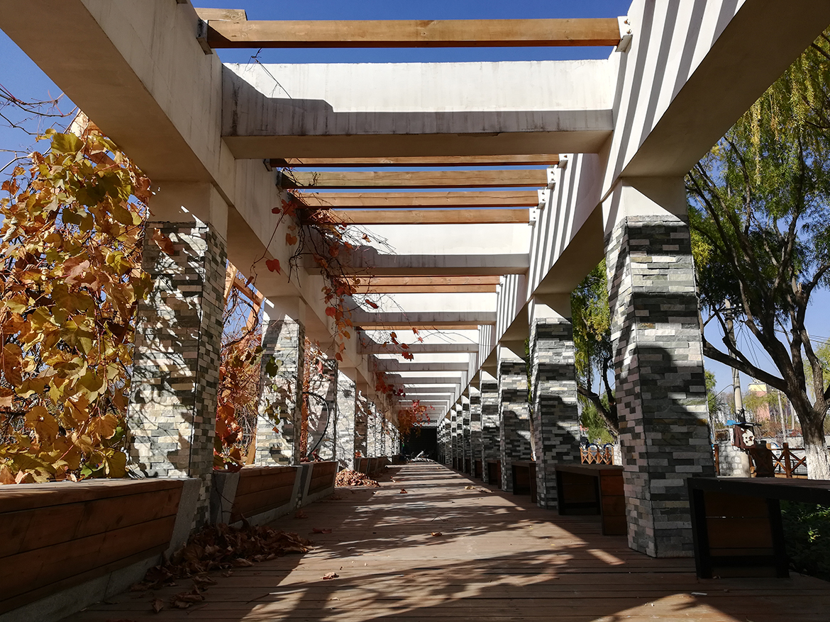 IMG_20181020_094623.jpg IMG_20181020_094623.jpg