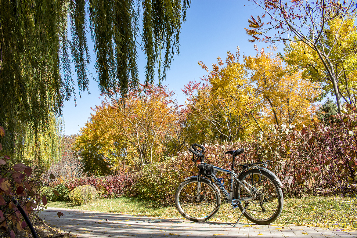 IMG_8713_1.JPG IMG_8713_1.JPG