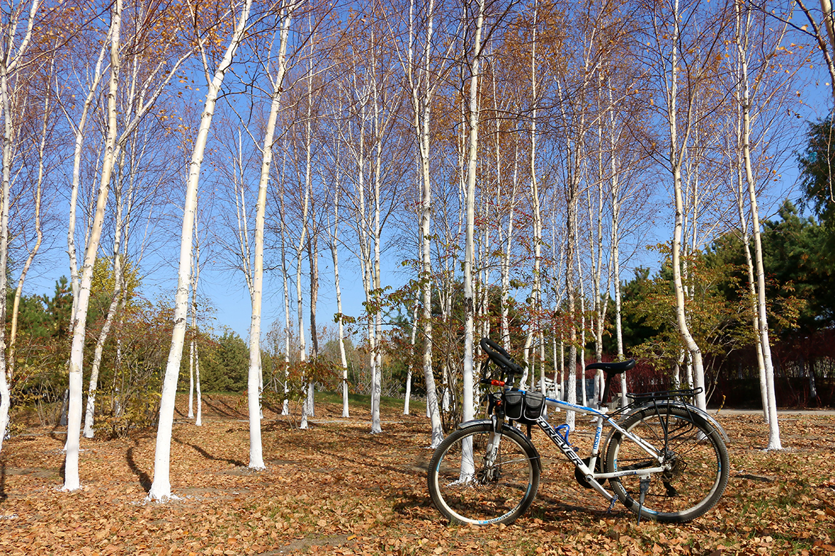 IMG_8753.jpg IMG_8753.jpg