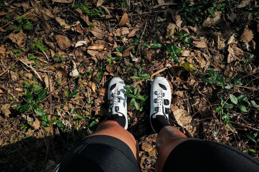 1545119459(1).jpg 1545119459(1).jpg