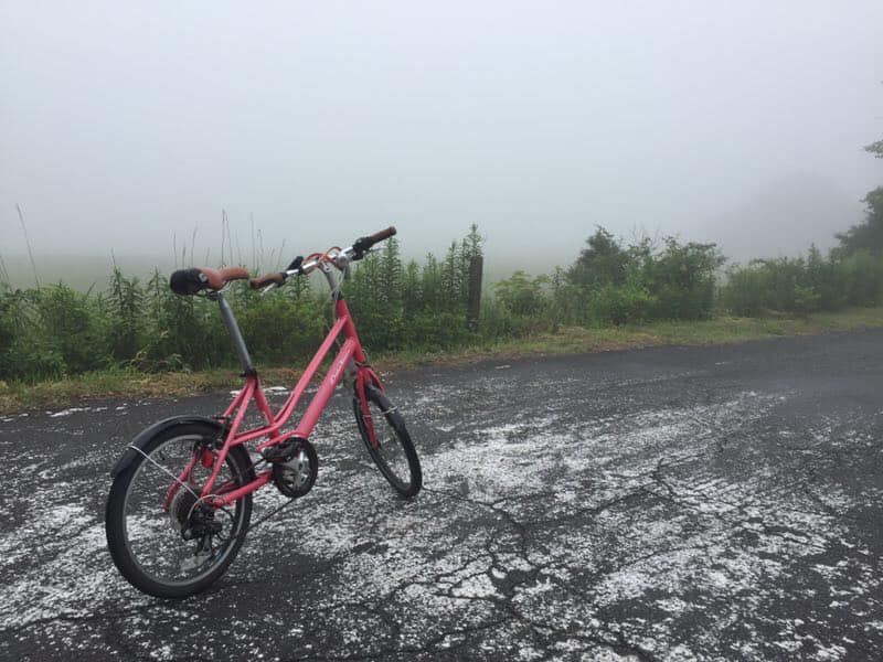 48426044_461576621038633_5098630418102484992_n (1).jpg