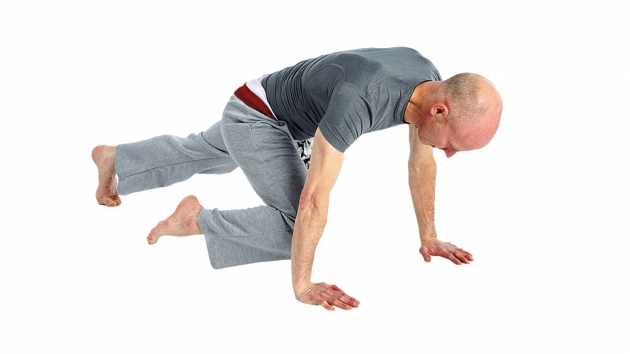 1409326236941-e63to1hmm3rn-630-354.jpg 1409326236941-e63to1hmm3rn-630-354.jpg