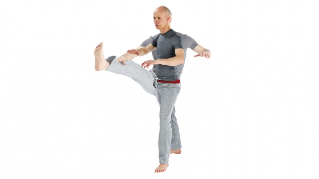 1409326236763-5m0q5yv4flut-630-354.jpg 1409326236763-5m0q5yv4flut-630-354.jpg