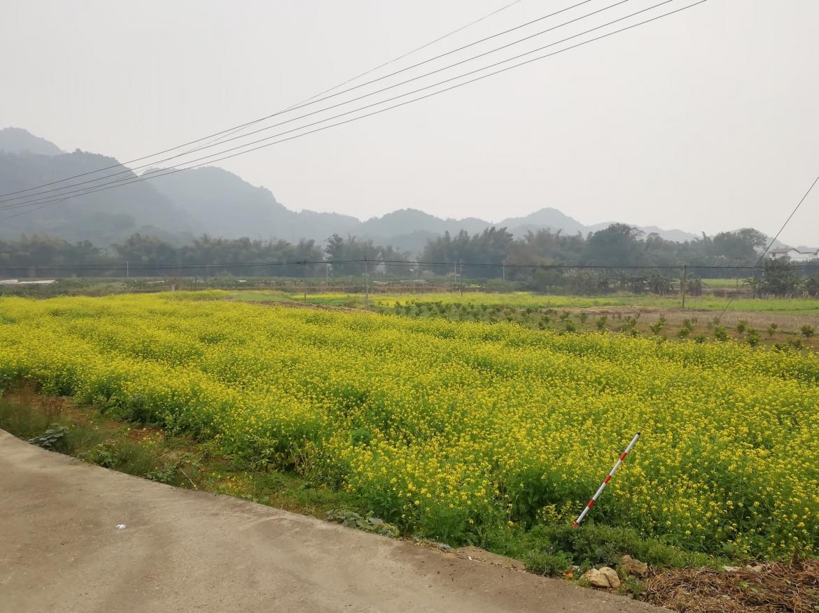 IMG_20190202_131341.jpg IMG_20190202_131341.jpg