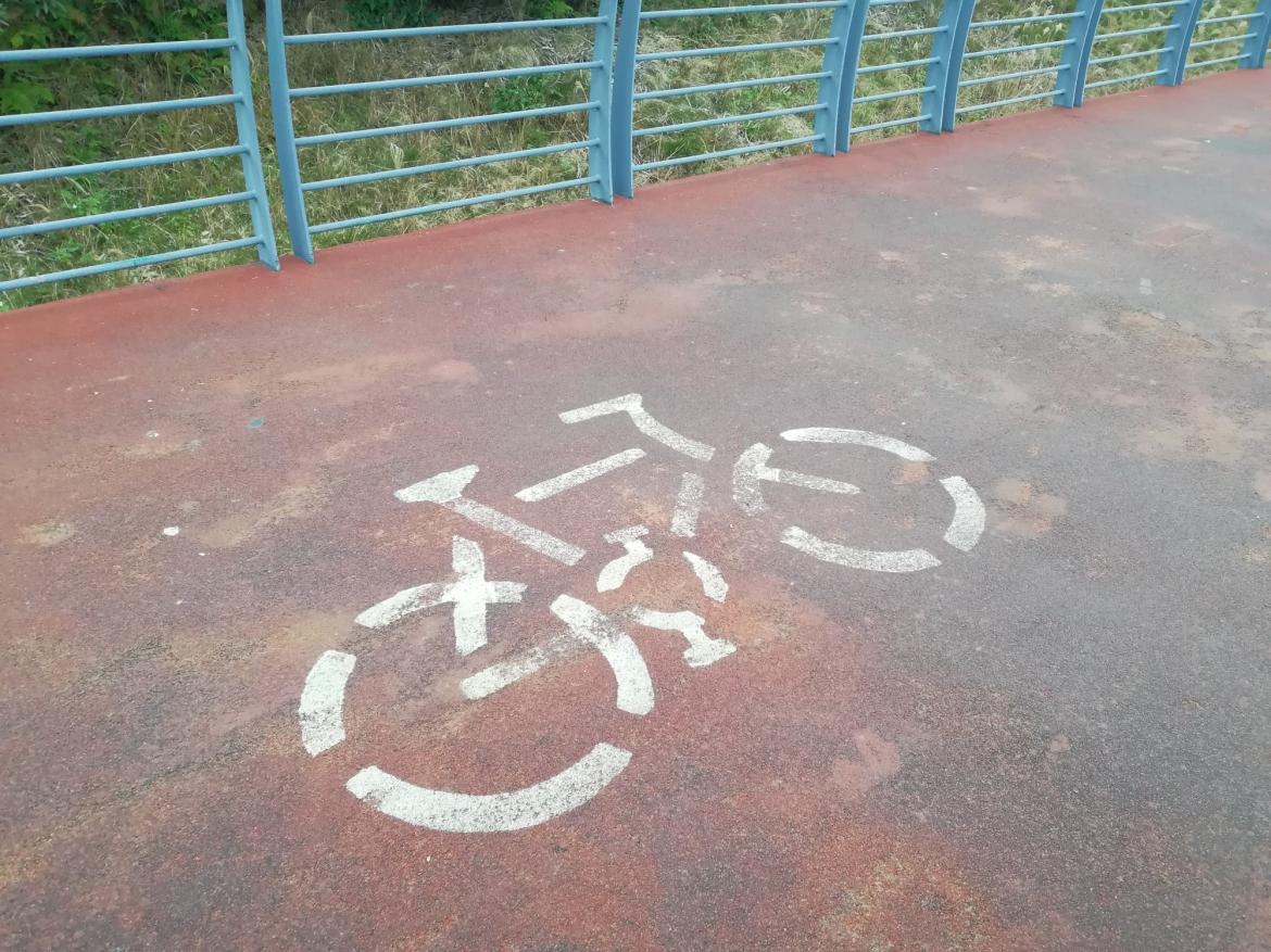 IMG_20190202_081502.jpg IMG_20190202_081502.jpg