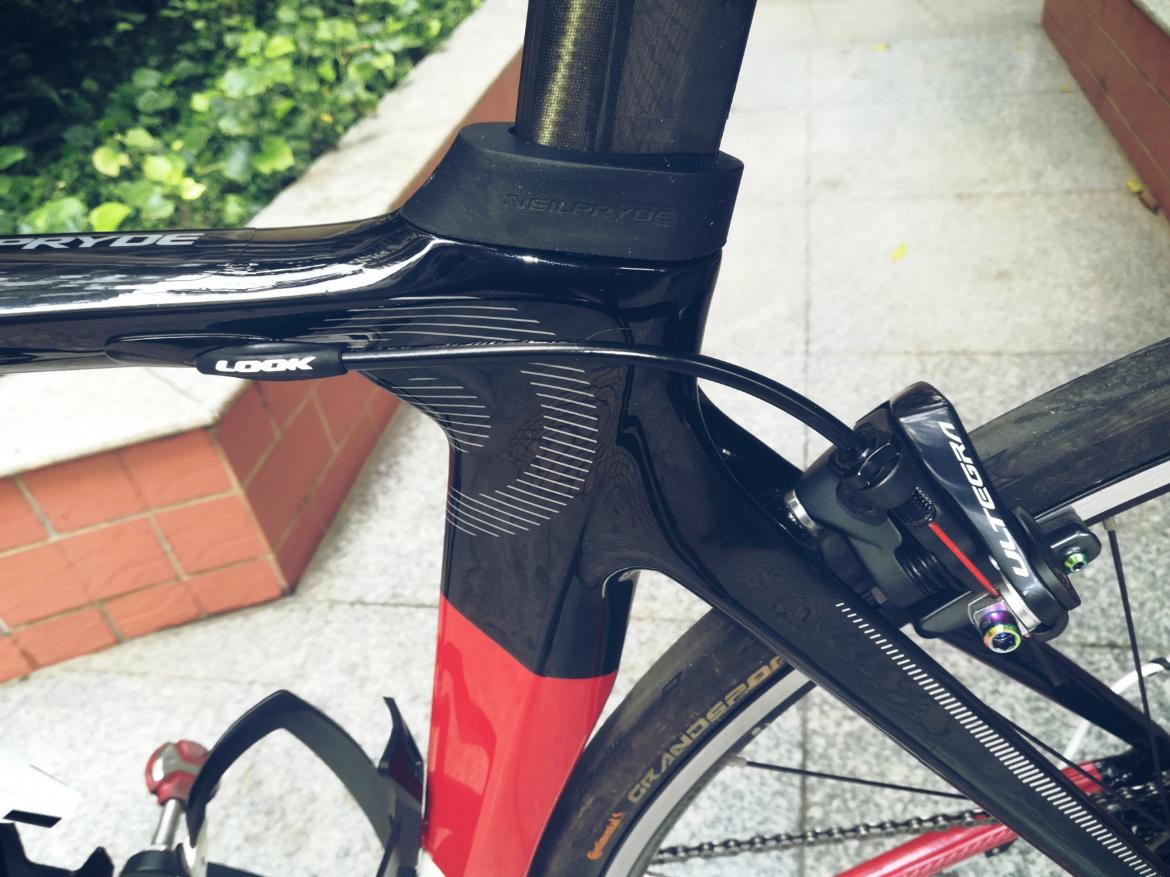 PicsArt_02-17-04.03.45.jpg PicsArt_02-17-04.03.45.jpg