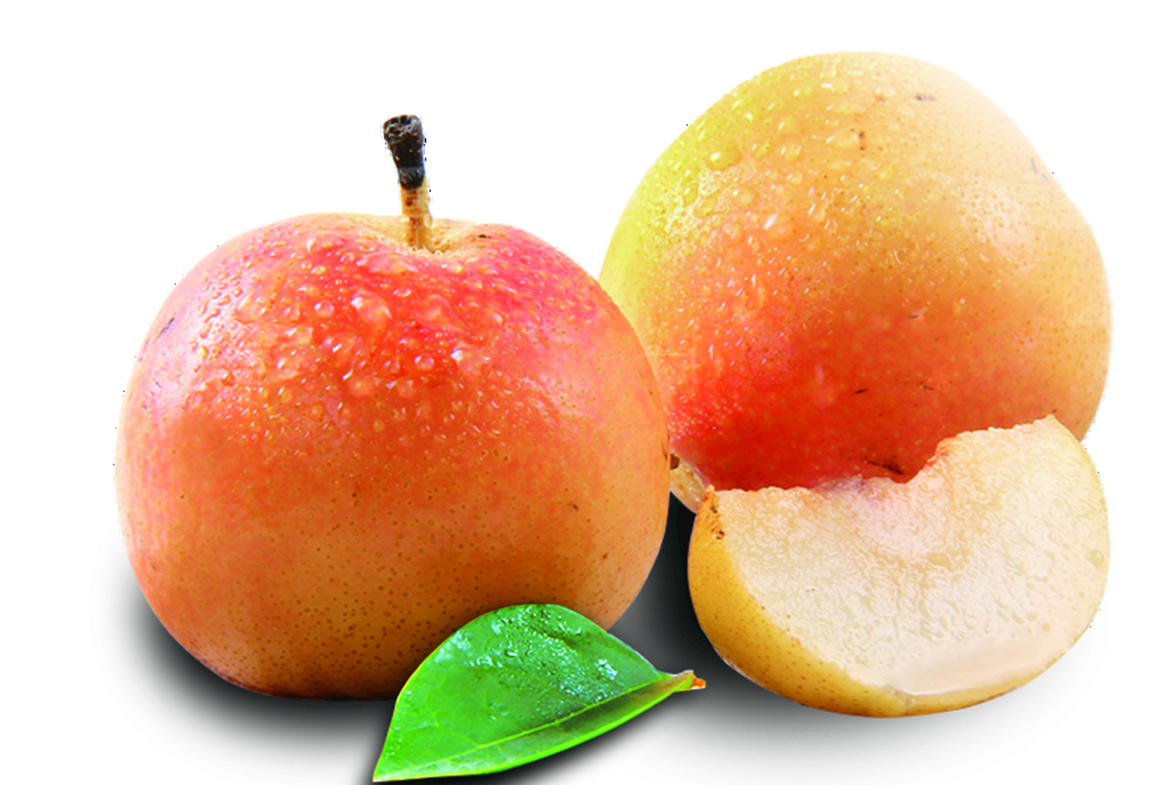 苹果梨.jpg 苹果梨.jpg