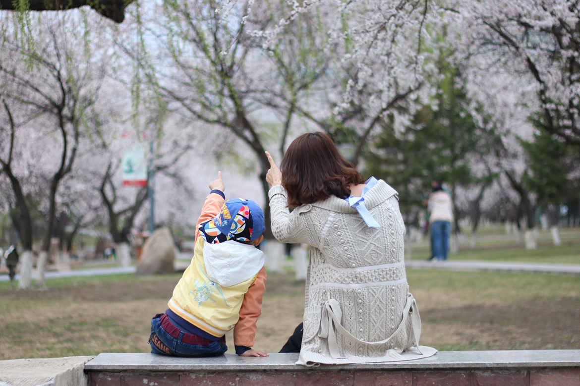 杏花村.jpg 杏花村.jpg