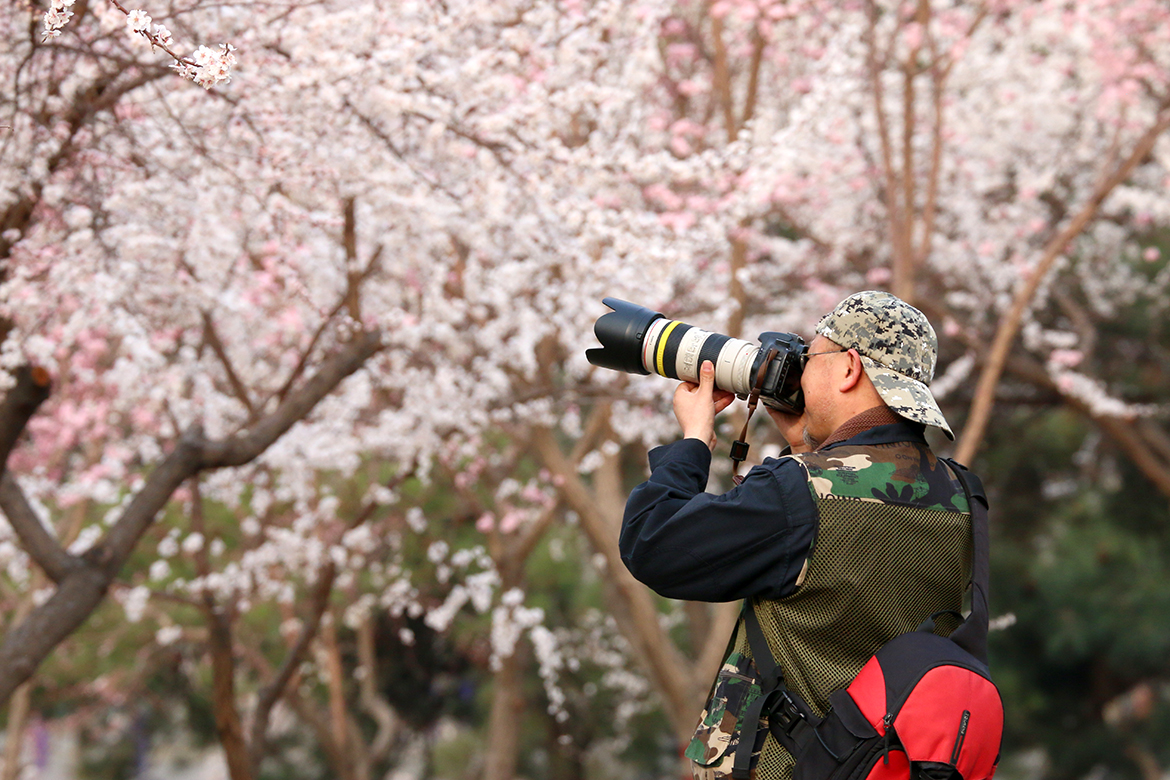 杏花村2.jpg 杏花村2.jpg