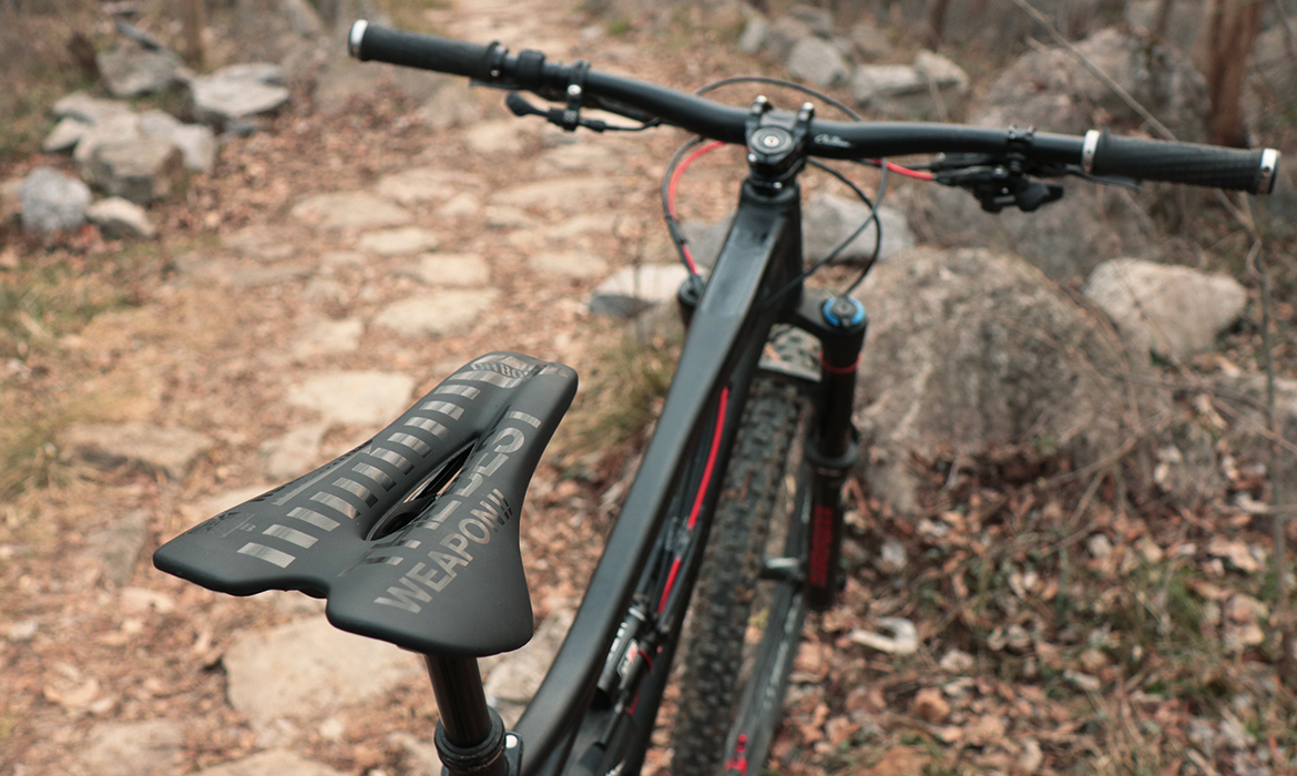 IMG_2419.jpg IMG_2419.jpg