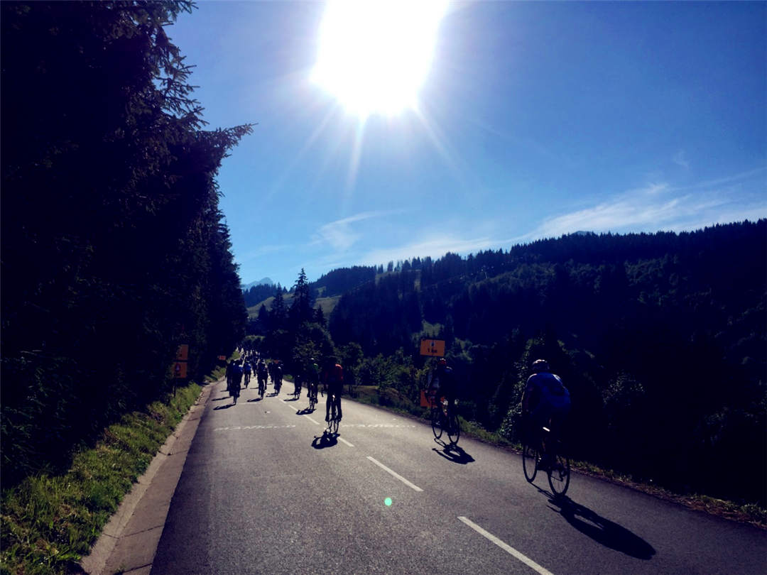 IMG_6425.jpg IMG_6425.jpg