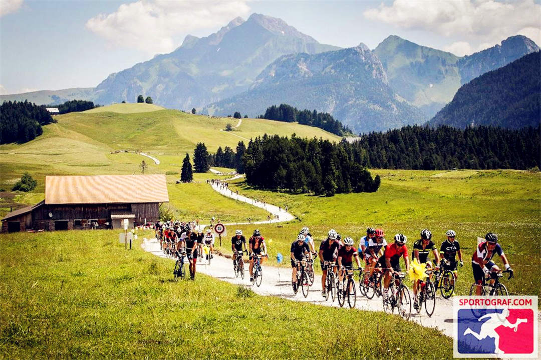 IMG_6427-1.jpg IMG_6427-1.jpg