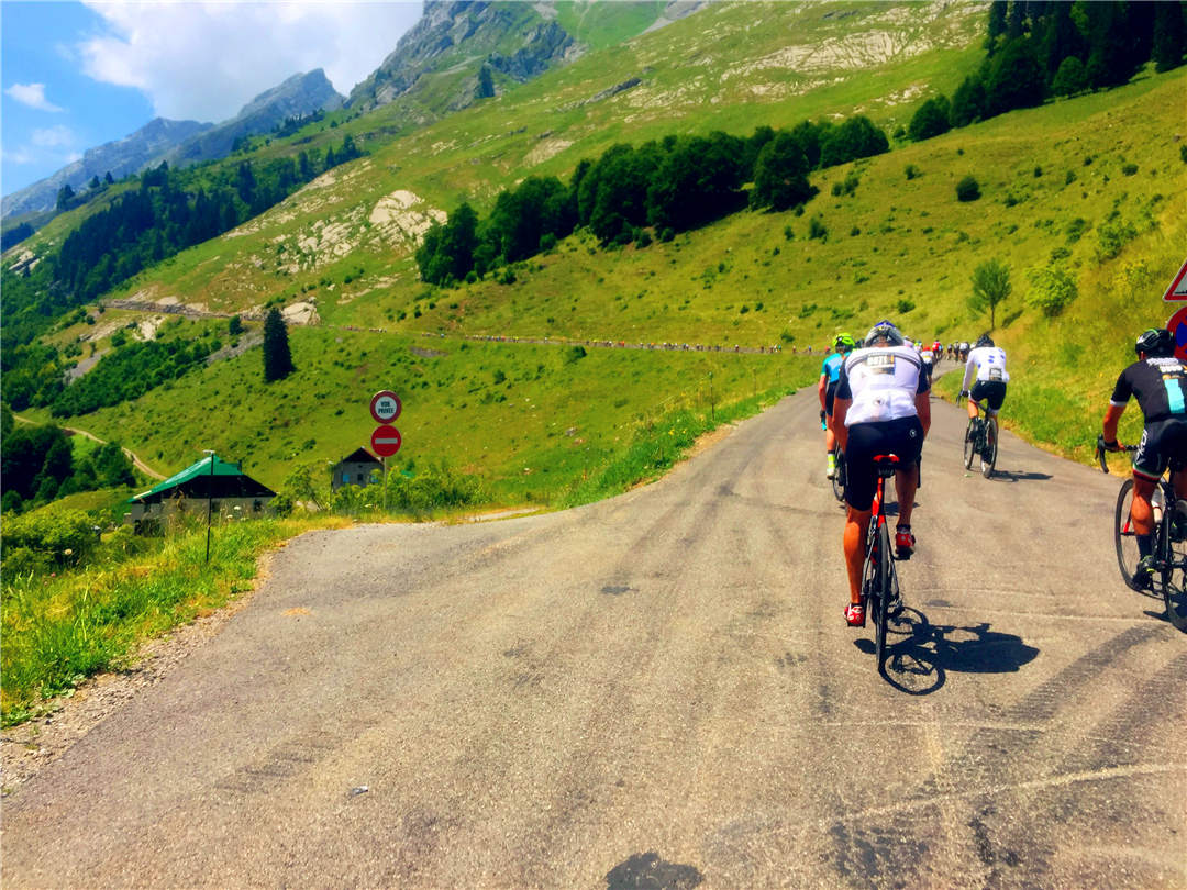 IMG_6451.jpg IMG_6451.jpg