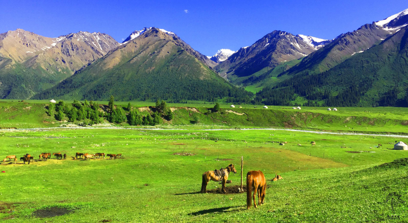 去最美的地方骑行——美疆体育2020赛季系列美景骑行赛事发布会