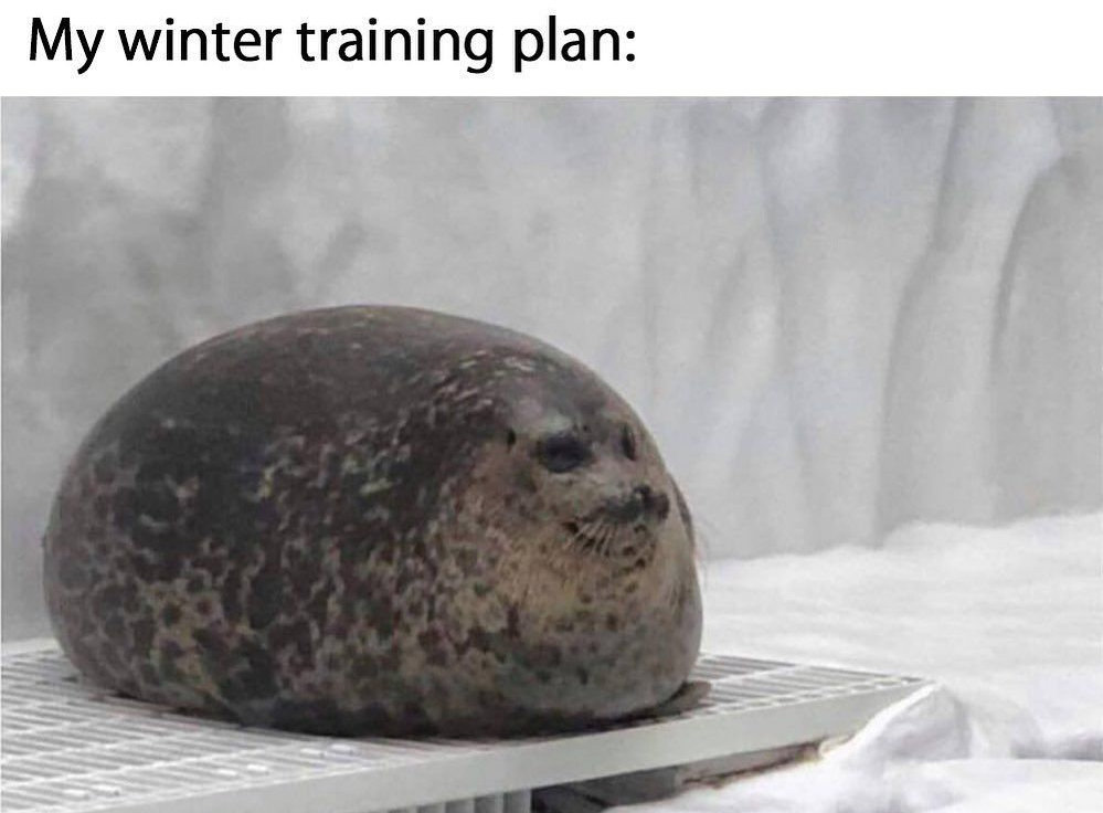 1604667985154547.jpg 1604667985154547.jpg