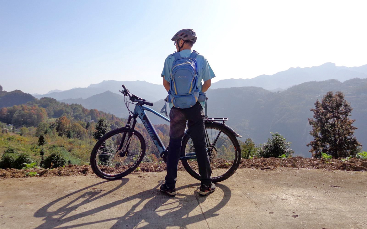 倍速青鸟电助力