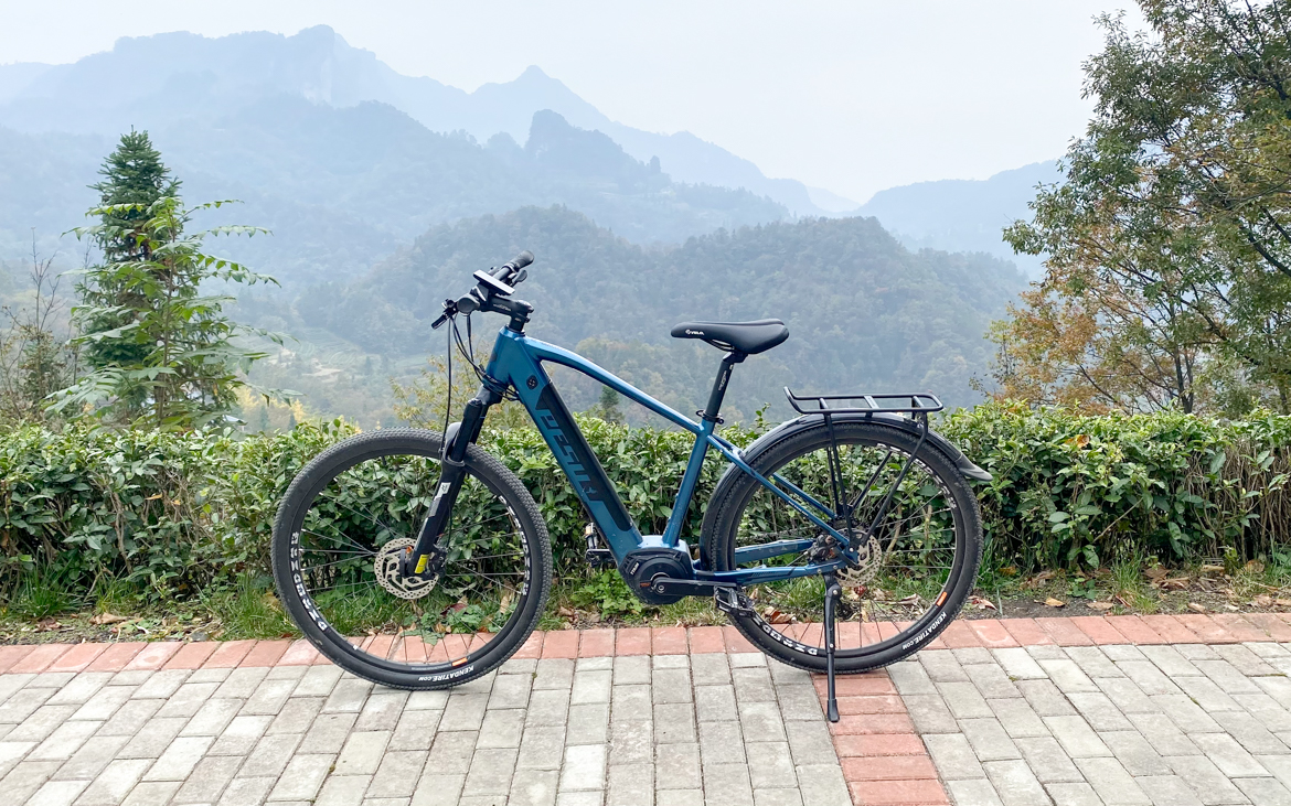 倍速青鸟电助力