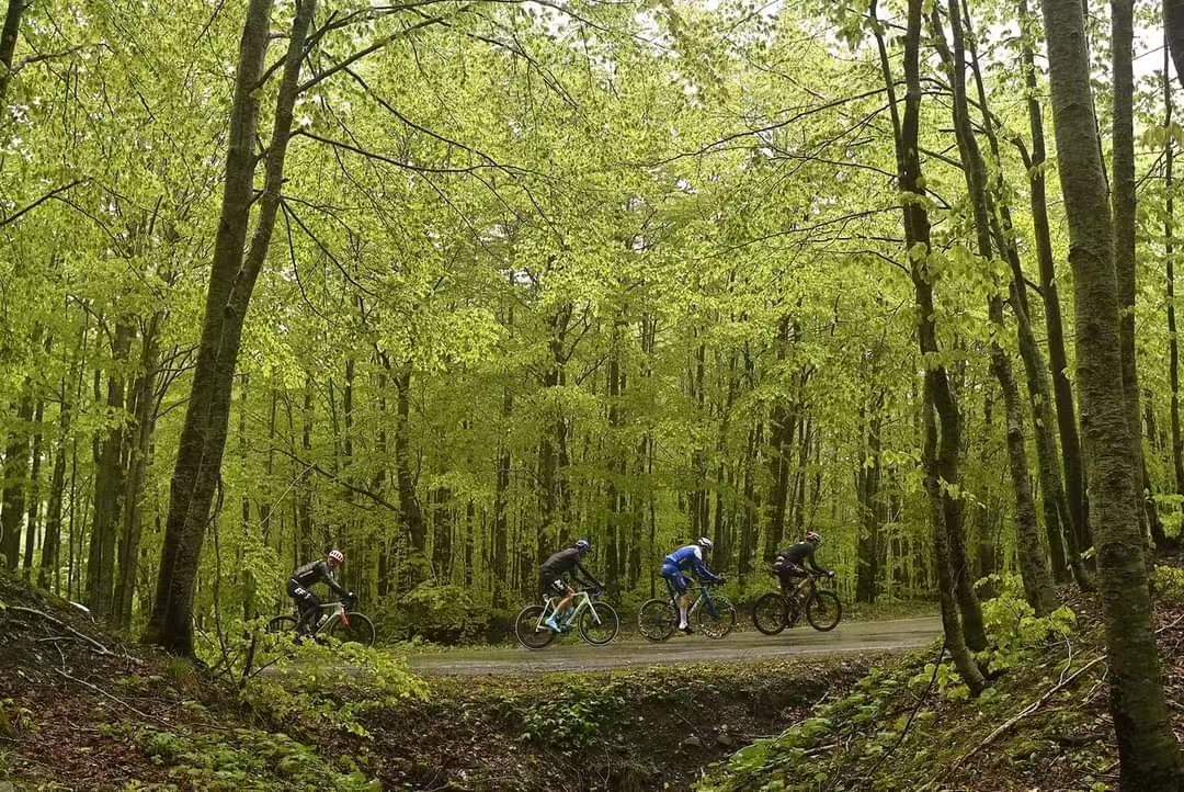 微信图片_20230517093723.jpg 微信图片_20230517093723.jpg